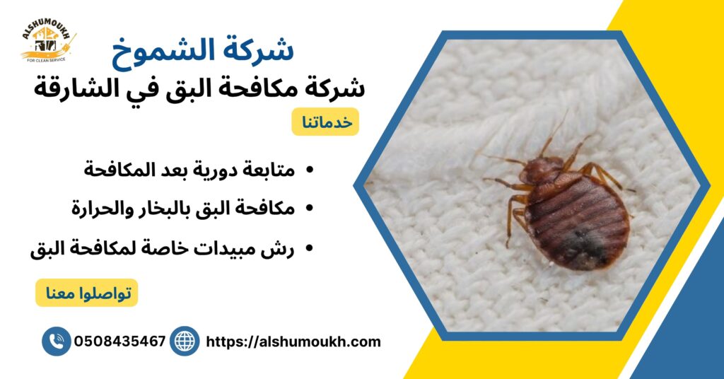 شركة مكافحة البق في الشارقة