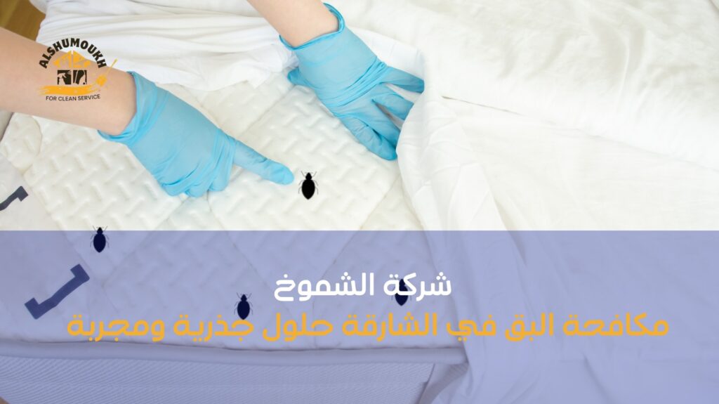 شركة مكافحة البق ب الشارقة