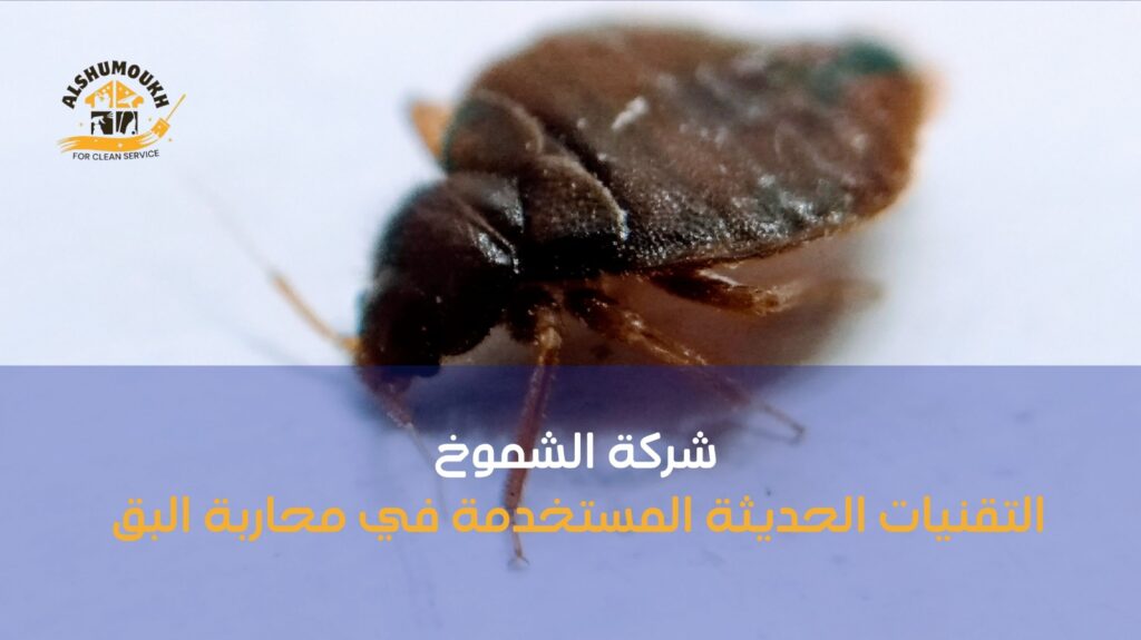 شركة مكافحة البق ب الشارقة