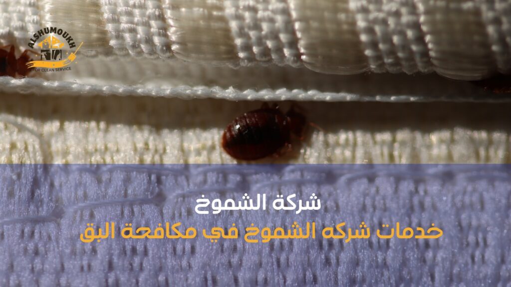 شركة مكافحة البق ب الشارقة