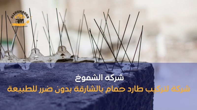 شركة لتركيب طارد حمام بالشارقة