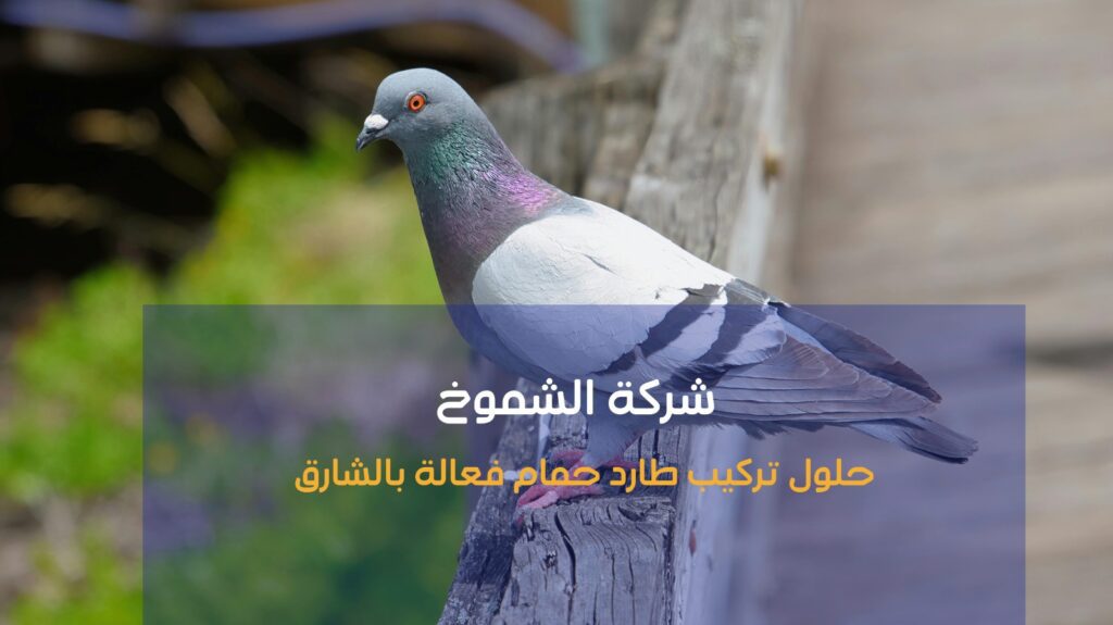 تركيب طارد حمام بالشارقة