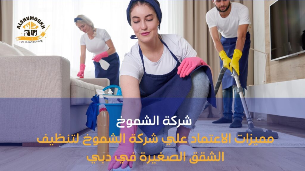 تنظيف شقق صغيرة في دبي