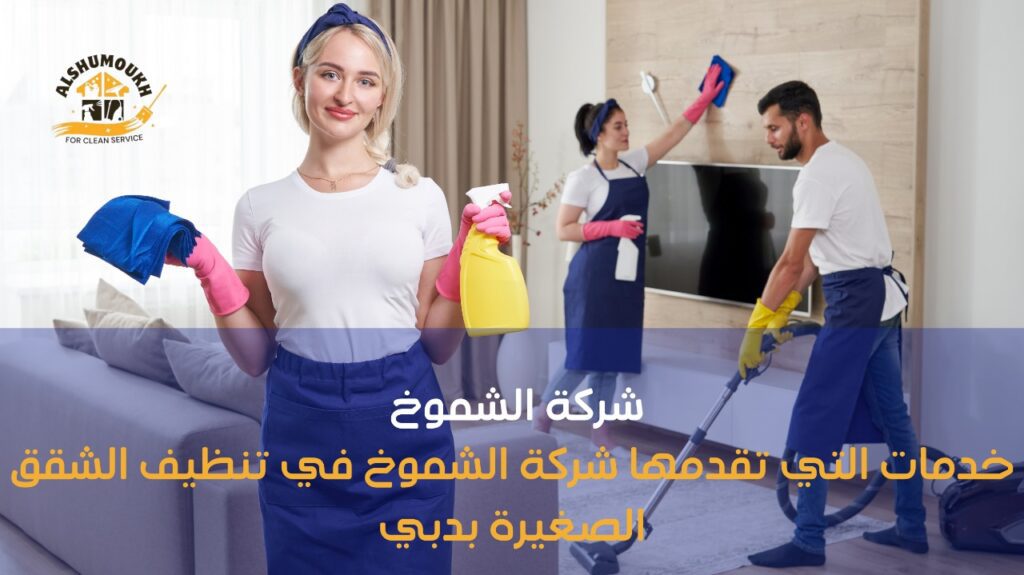 تنظيف شقق صغيرة في دبي