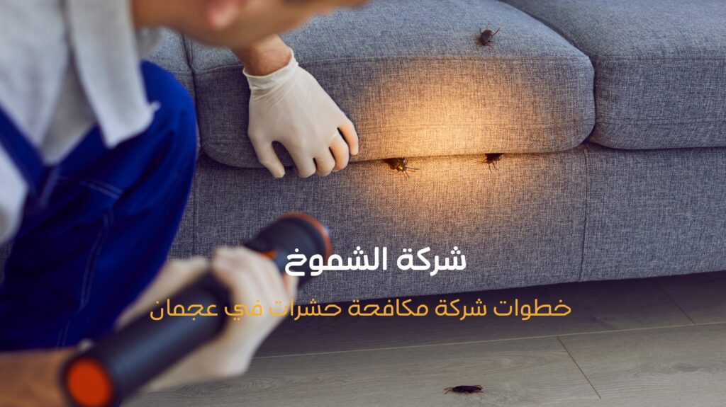 شركة مكافحة حشرات في عجمان