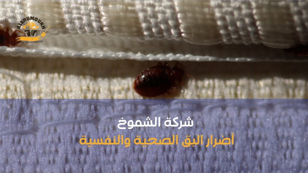 مكافحة البق عجمان