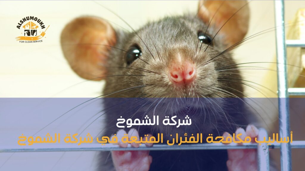 مكافحة الفئران عجمان
