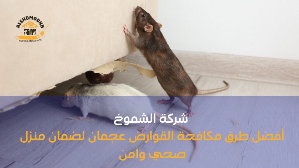 مكافحة القوارض عجمان