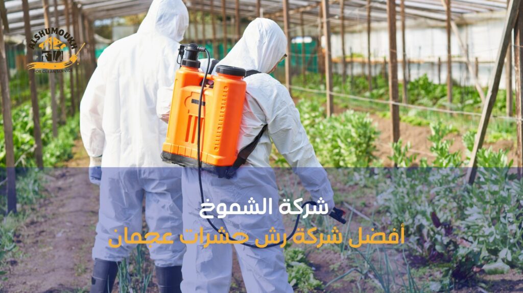 رش حشرات عجمان