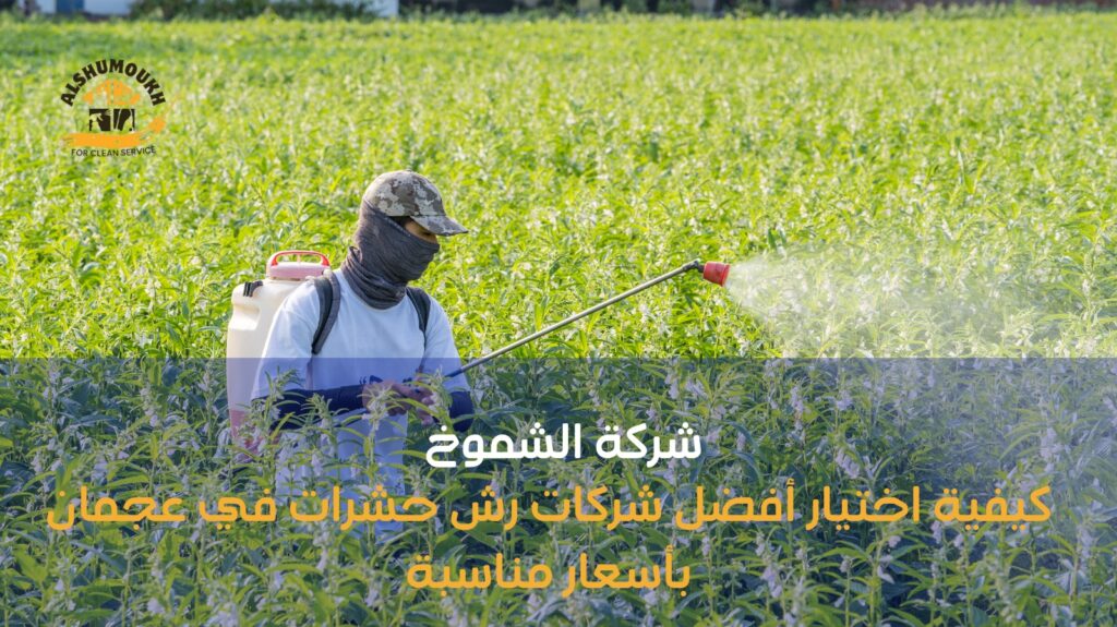 رش حشرات عجمان