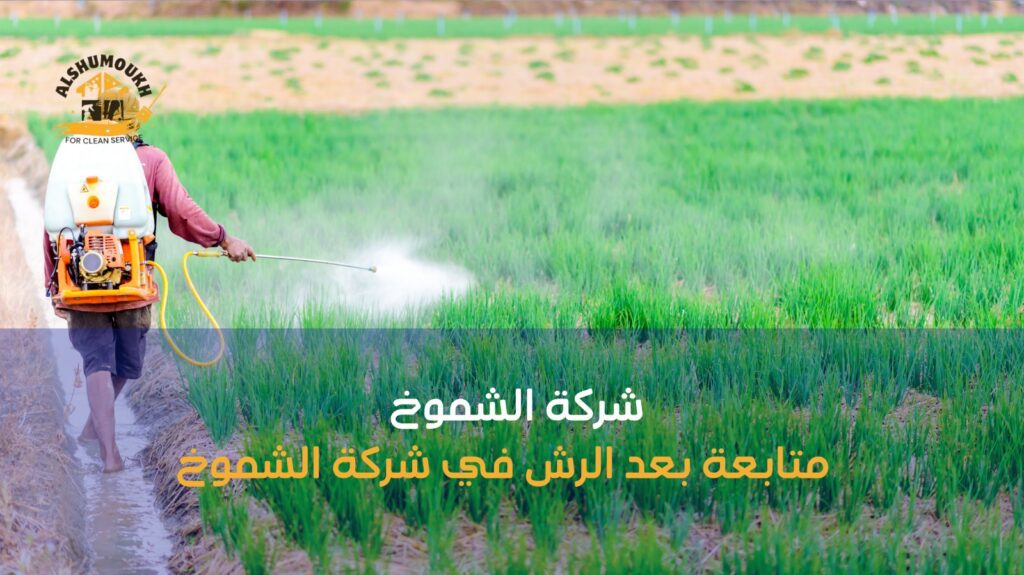 رش حشرات عجمان