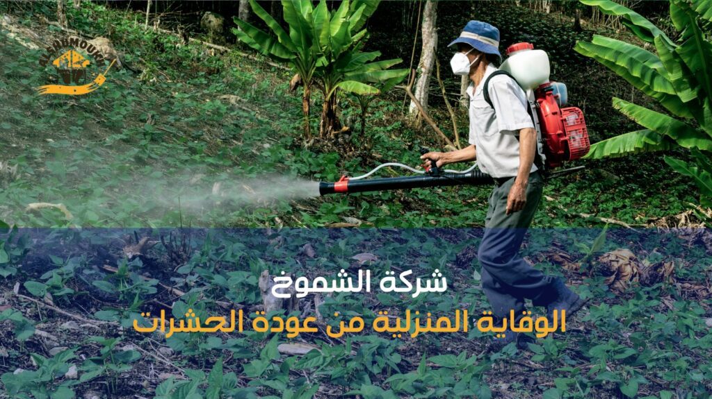 رش حشرات عجمان