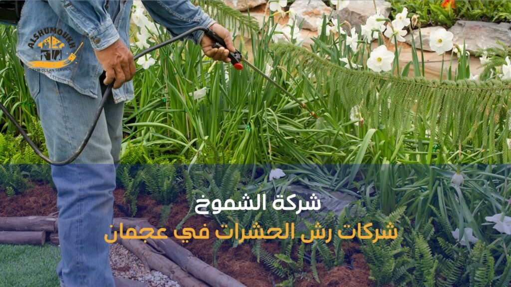شركات رش الحشرات في عجمان