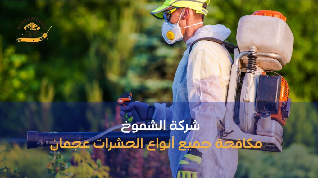 مكافحة جميع أنواع الحشرات عجمان