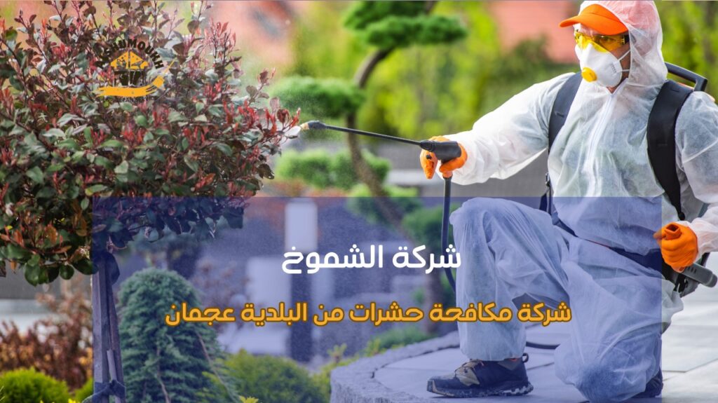 شركة مكافحة حشرات من البلدية عجمان