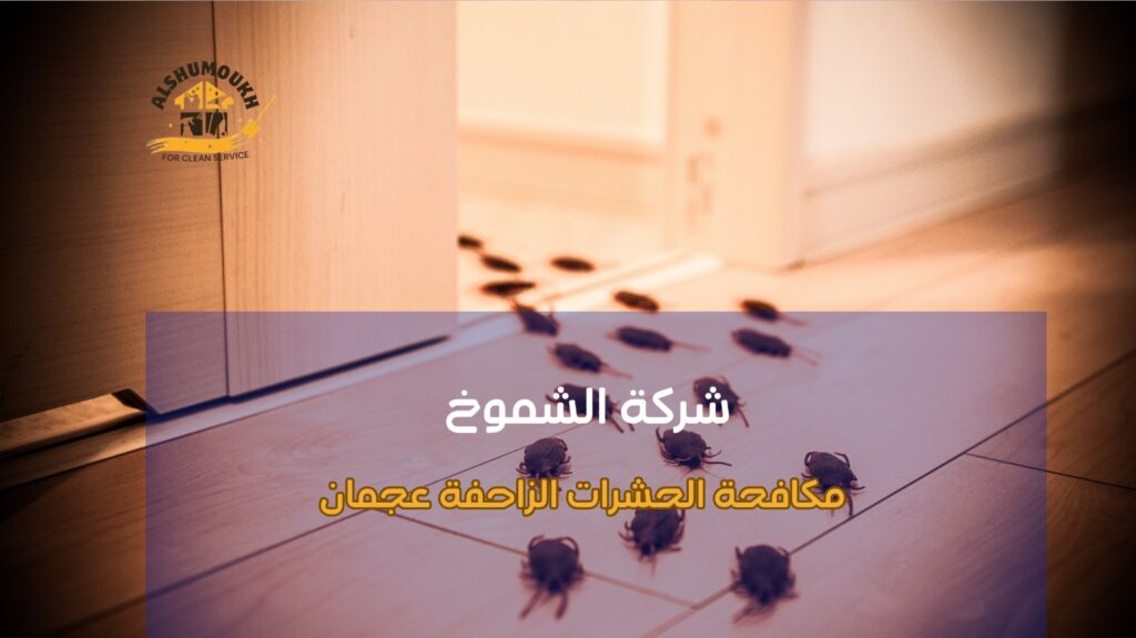 مكافحة الحشرات الزاحفة عجمان