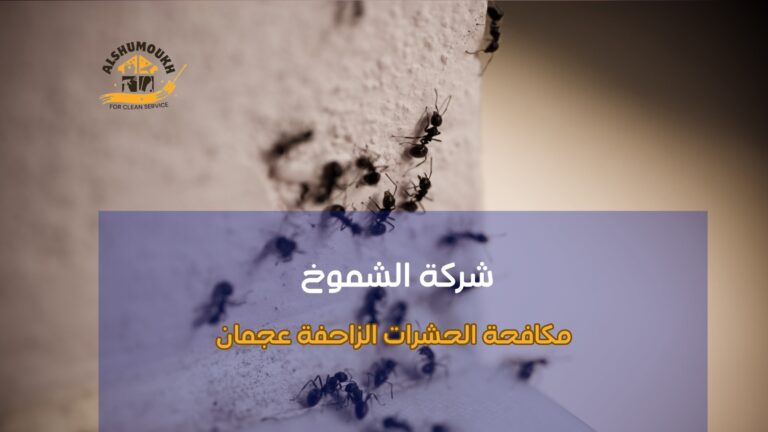 أهمية مكافحة الحشرات الزاحفة عجمان في المنازل