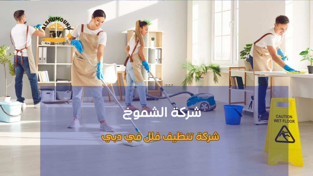 كيف يمكن تجنب أخطاء شركة تنظيف فلل في دبي