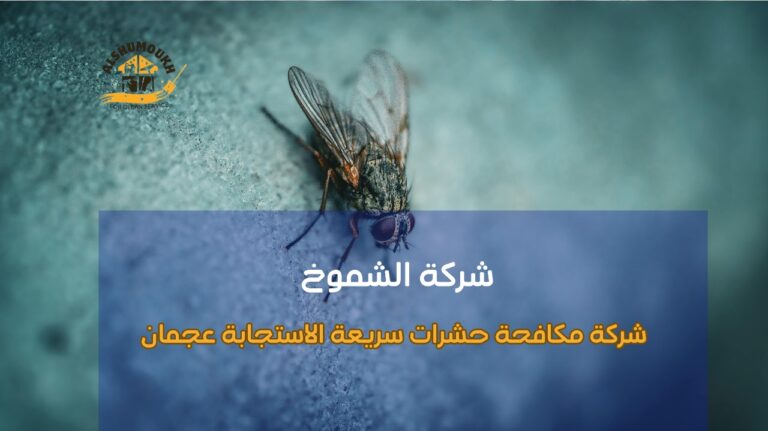 شركة مكافحة حشرات سريعة الاستجابة عجمان
