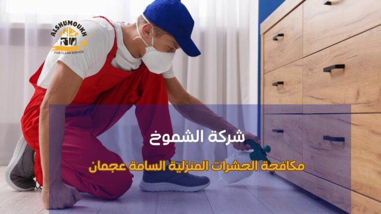 كيفية تجنب أخطاء مكافحة الحشرات المنزلية السامة عجمان