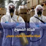 شركة مكافحة حشرات عجمان