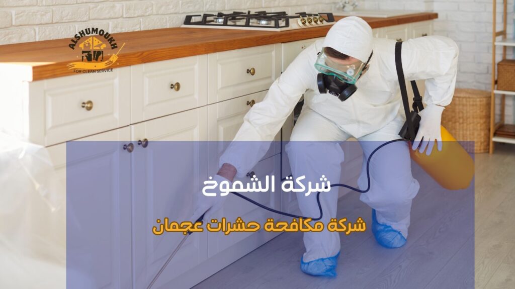 نصائح شركة مكافحة حشرات عجمان