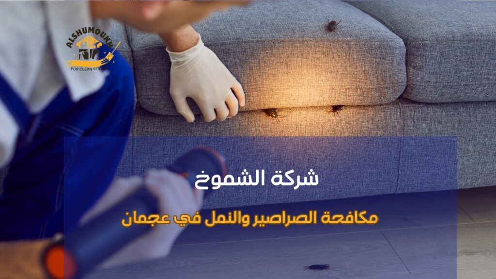 مكافحة الصراصير والنمل في عجمان