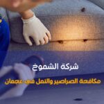 مكافحة الصراصير والنمل في عجمان