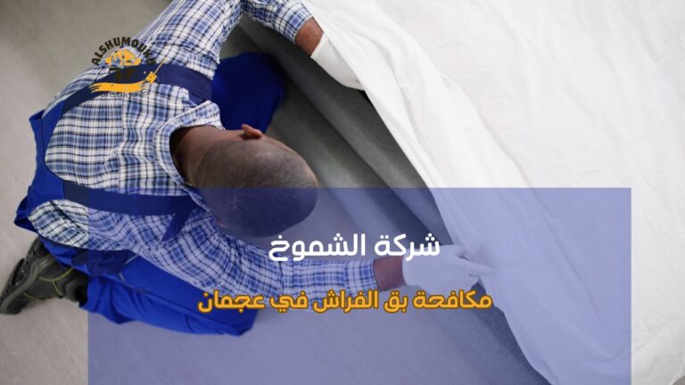 كيفية تجنب أخطاء مكافحة بق الفراش في عجمان