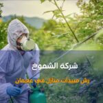 رش مبيدات منازل في عجمان