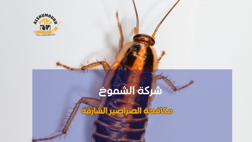 نصائح مكافحة الصراصير الشارقة