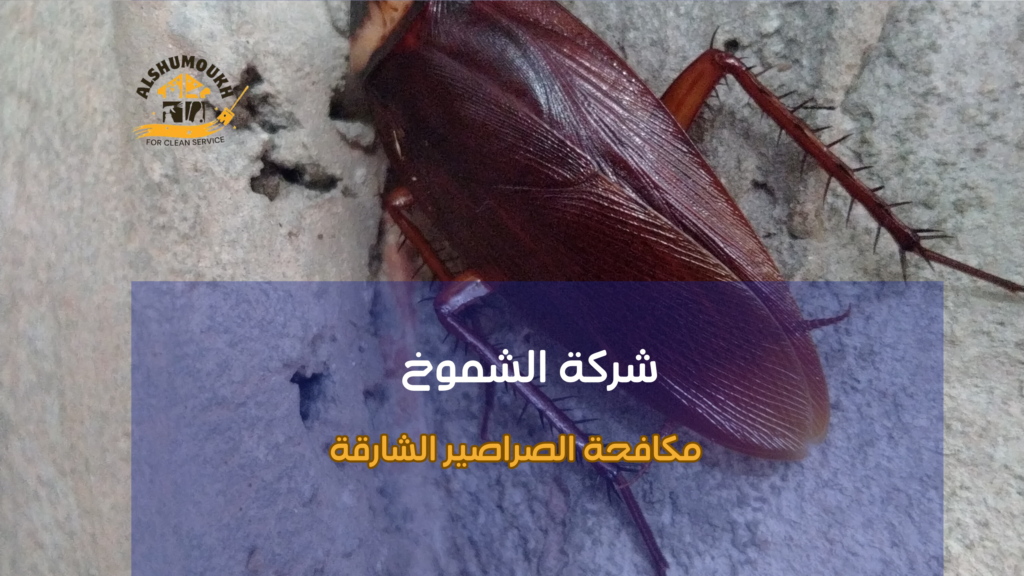 أساليب مكافحة الصراصير الشارقة