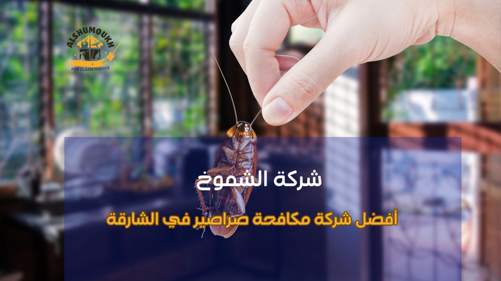 وداعاً للصراصير بفضل أفضل شركة مكافحة صراصير في الشارقة