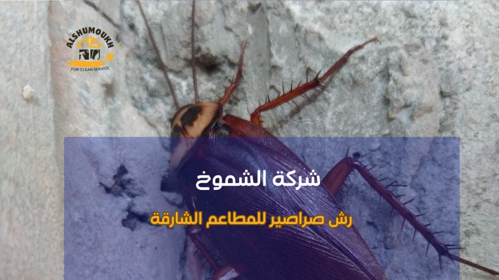 أساليب رش صراصير للمطاعم الشارقة