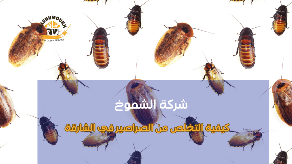 كيفية التخلص من الصراصير في الشارقة