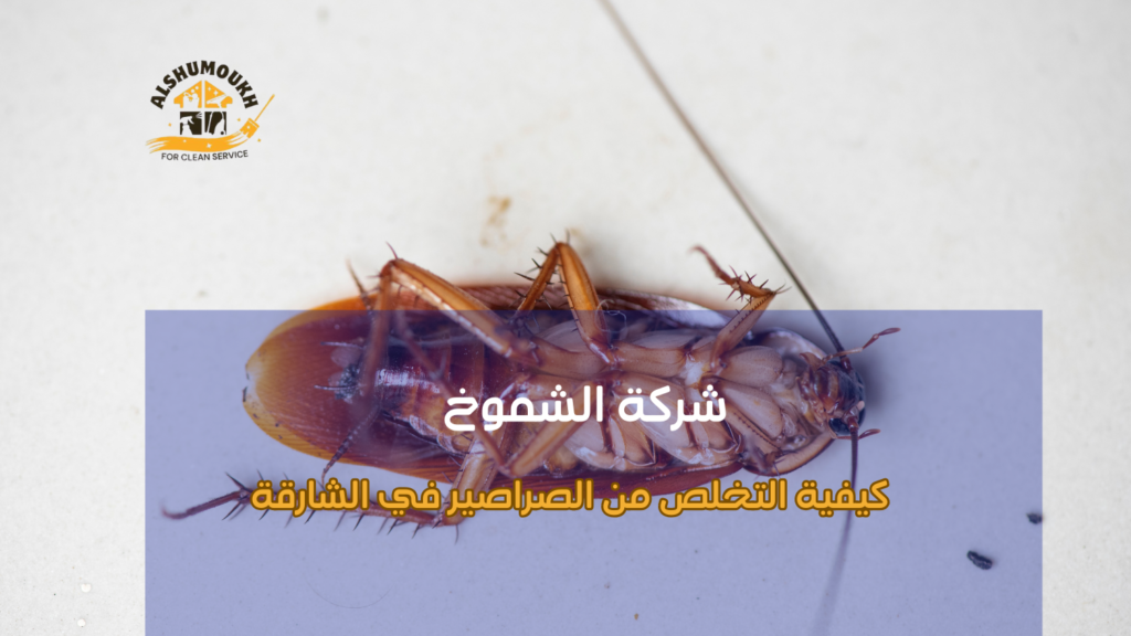 دليل شامل للتخلص من الصراصير في الشارقة في المنزل