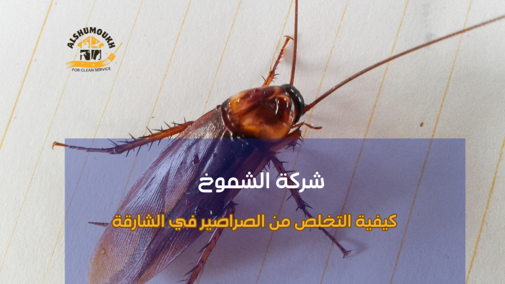 كيفية التخلص من الصراصير في الشارقة باستخدام مبيدات آمنة