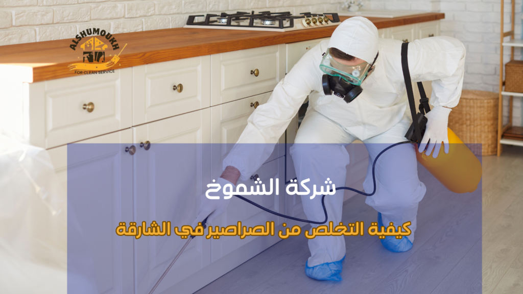 أفضل تقنيات الخبراء للتخلص من الصراصير في الشارقة