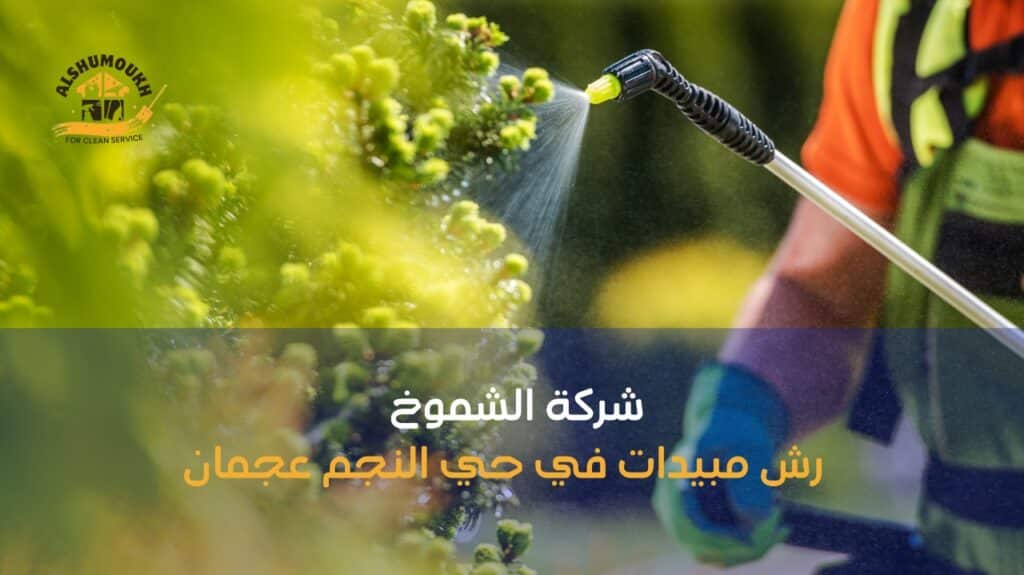 اختيار أفضل شركة إبادة حشرات بعجمان