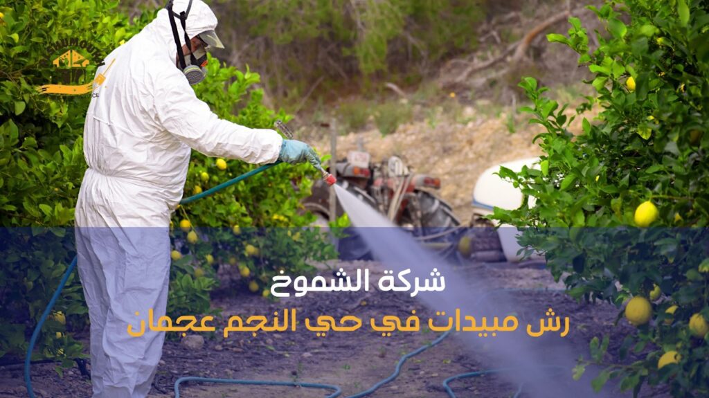 جدول الخدمة المتكرر وأهميته