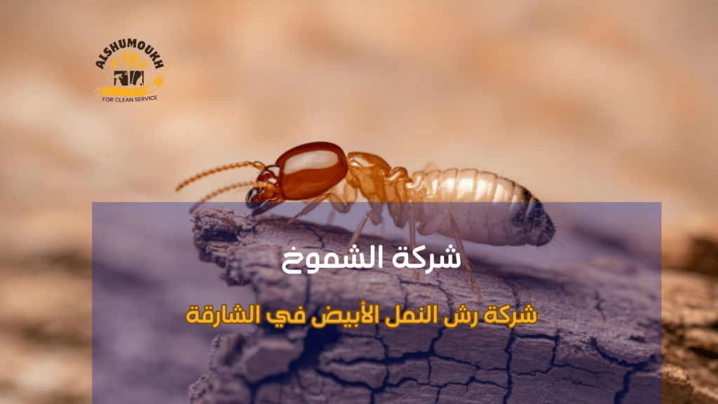 النمل الأبيض وأهمية القضاء عليه