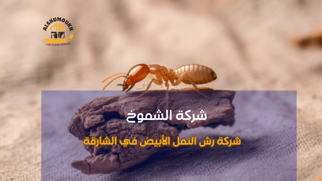أنواع النمل الأبيض والاختلافات المرتبطة بالخدمة