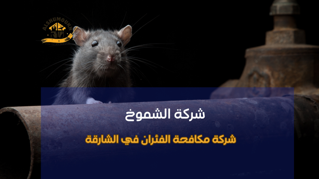 شركة مكافحة الفئران في الشارقة