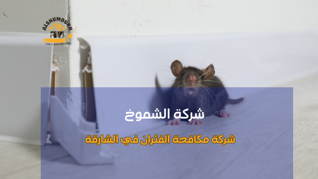 أخطاء شائعة تحدث عند طلب شركة مكافحة الفئران في الشارقة