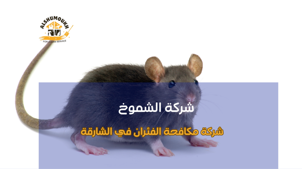 دليل الشامل لاختيار شركة مكافحة الفئران في الشارقة