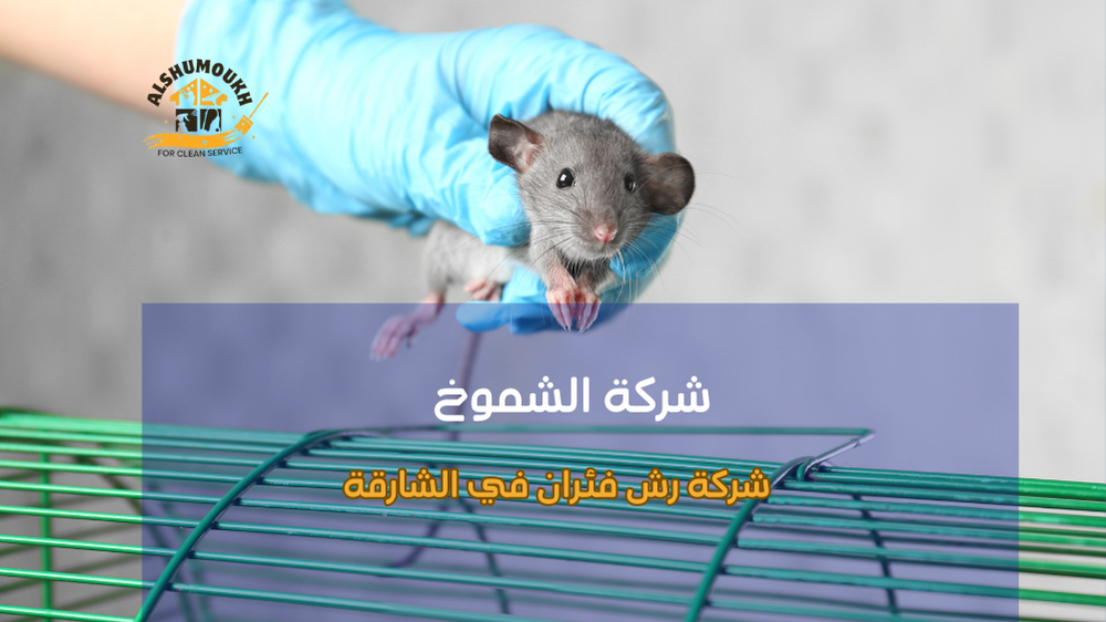 نصائح شركة رش فئران في الشارقة لضمان بيئة صحية وآمنة