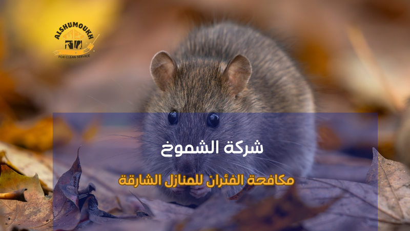 مكافحة الفئران للمنازل الشارقة