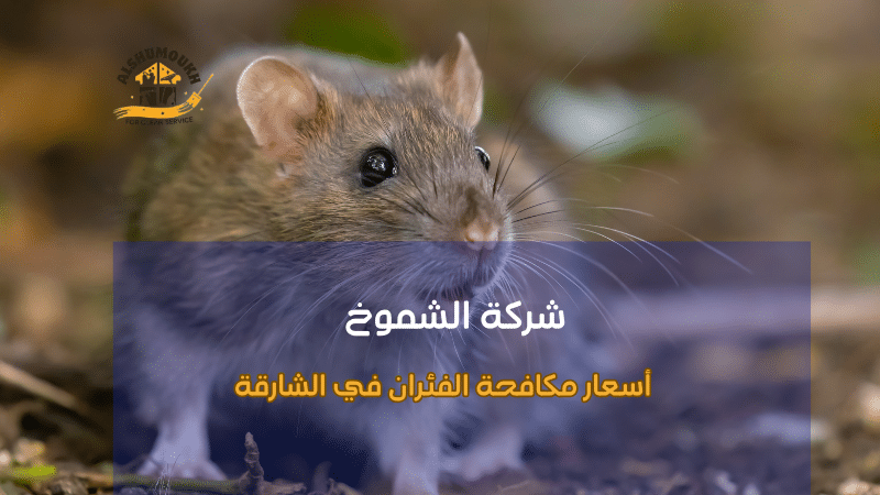 استراتيجيات أسعار مكافحة الفئران في الشارقة