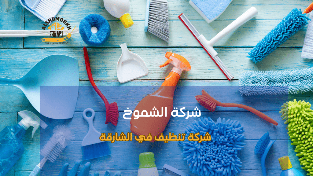 أهمية اختيار شركة تنظيف محترفة