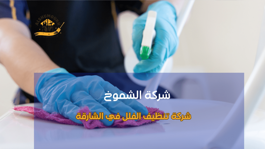 تنظيف الأرضيات بجميع أنواعها